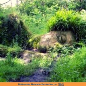 Come cura l' Ayurveda